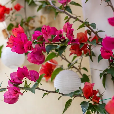 Holiday home 1br Townhouse Escape Sliema