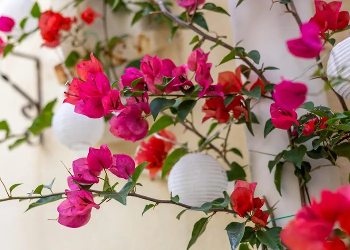 Дом отдыха 1br Townhouse Escape Слима